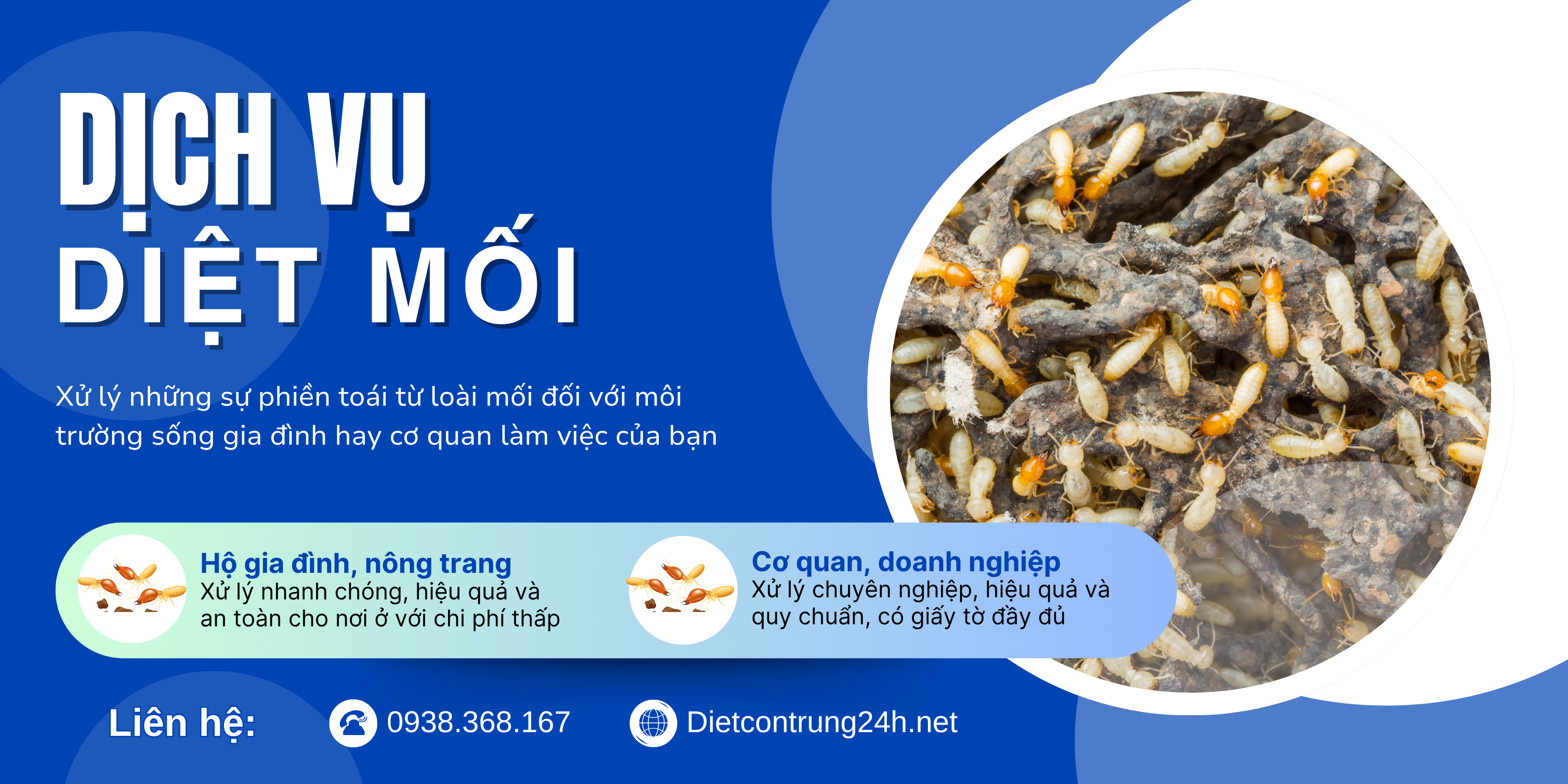 Dịch vụ Diệt Mối