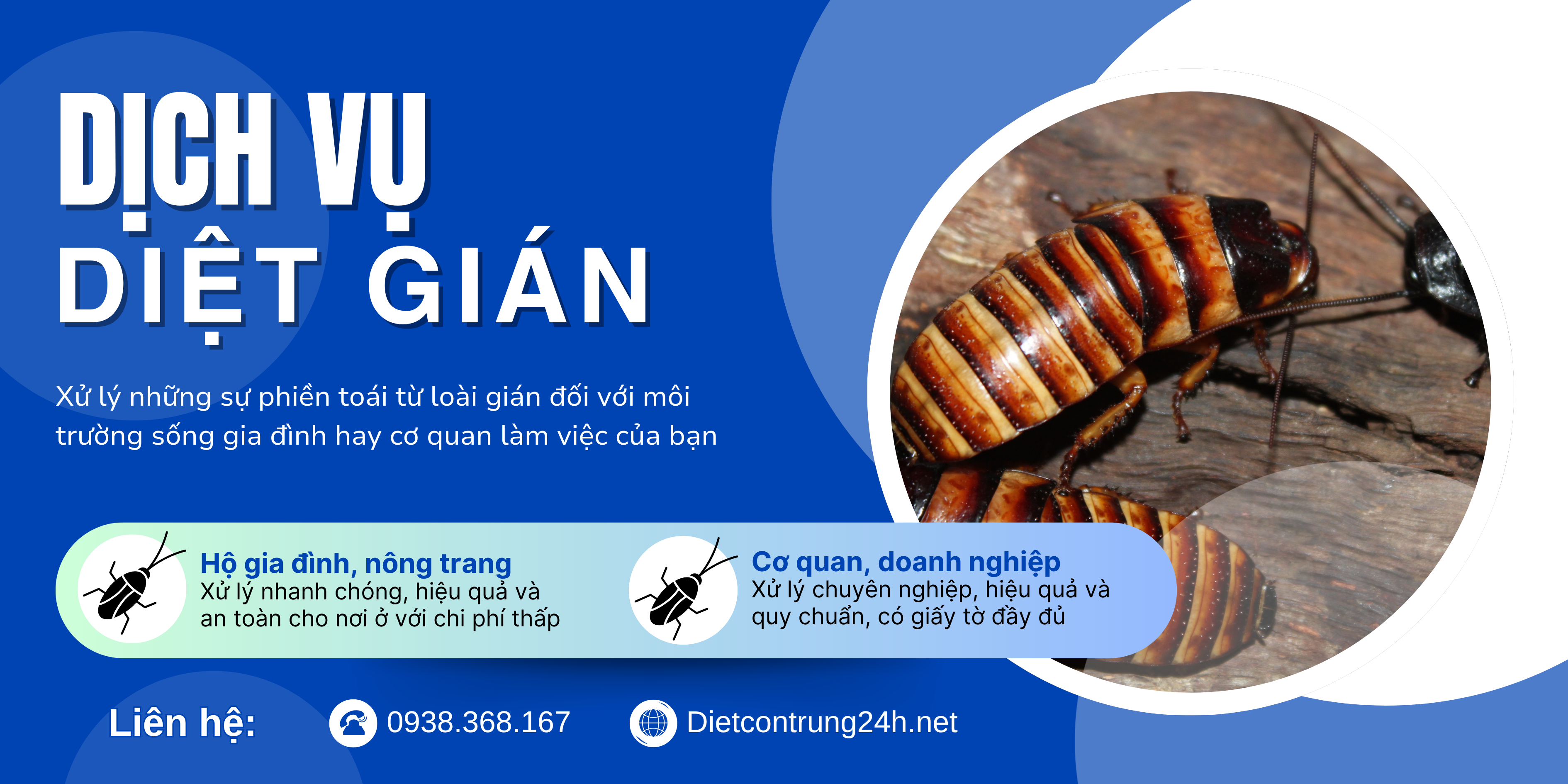 Dịch vụ Diệt Gián