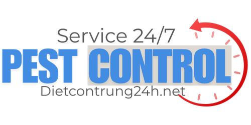Logo Website