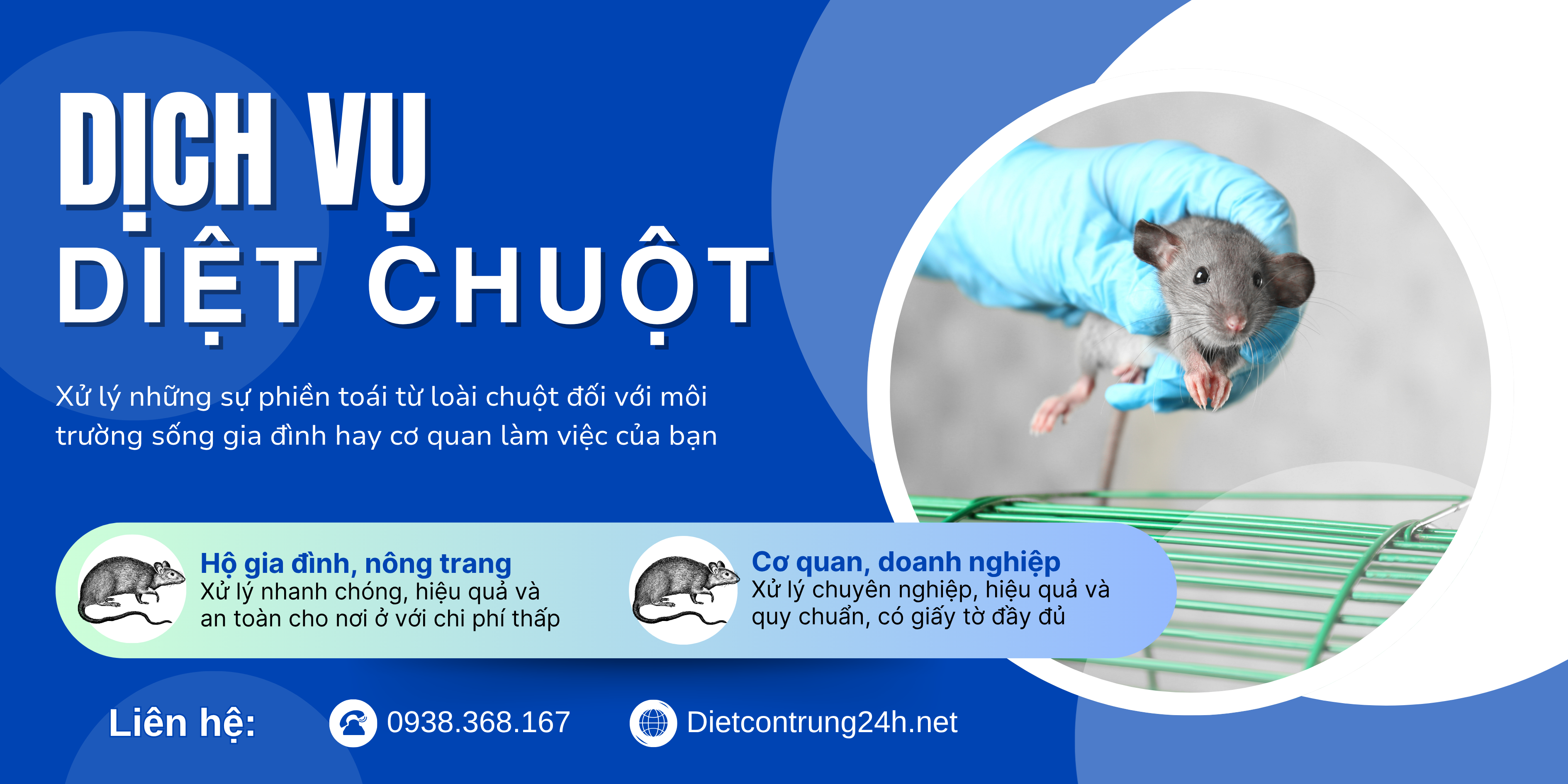 Dịch vụ Diệt Chuột