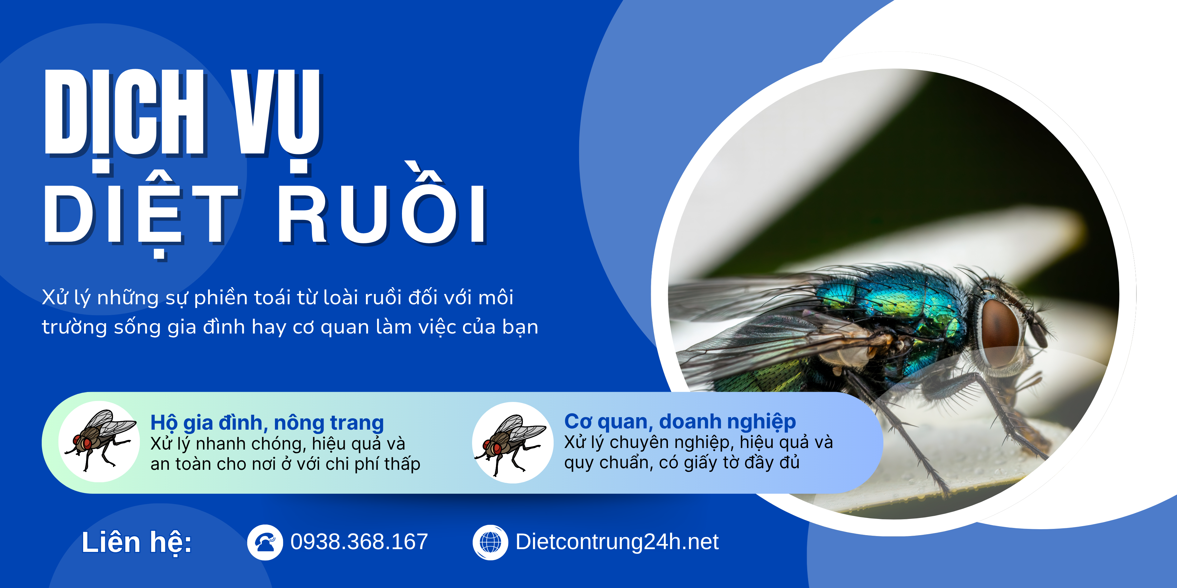 Dịch vụ Diệt Ruồi