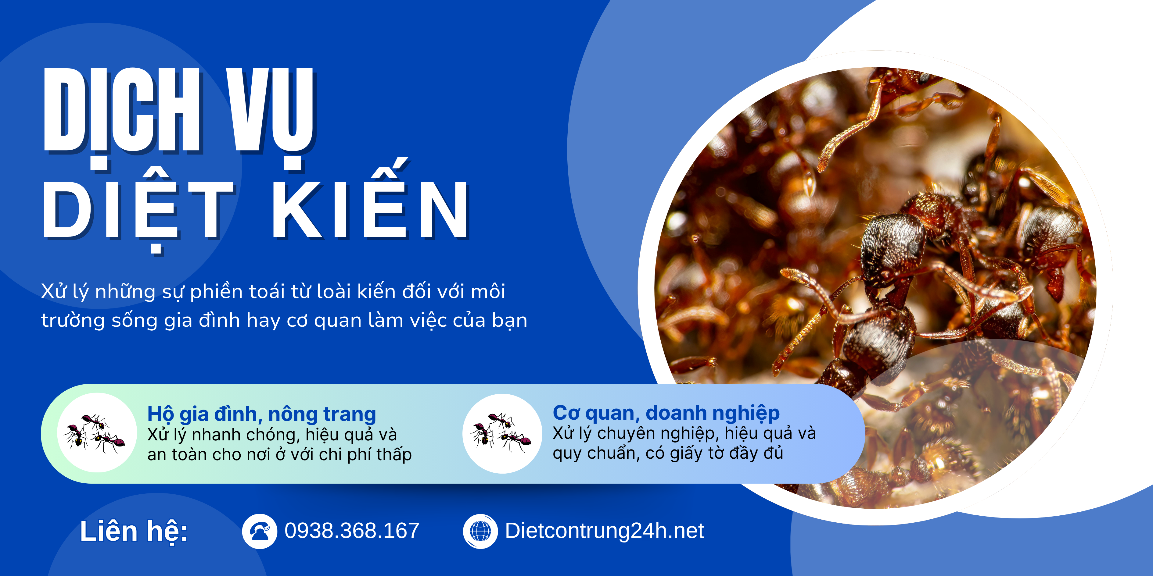 Dịch vụ Diệt Kiến