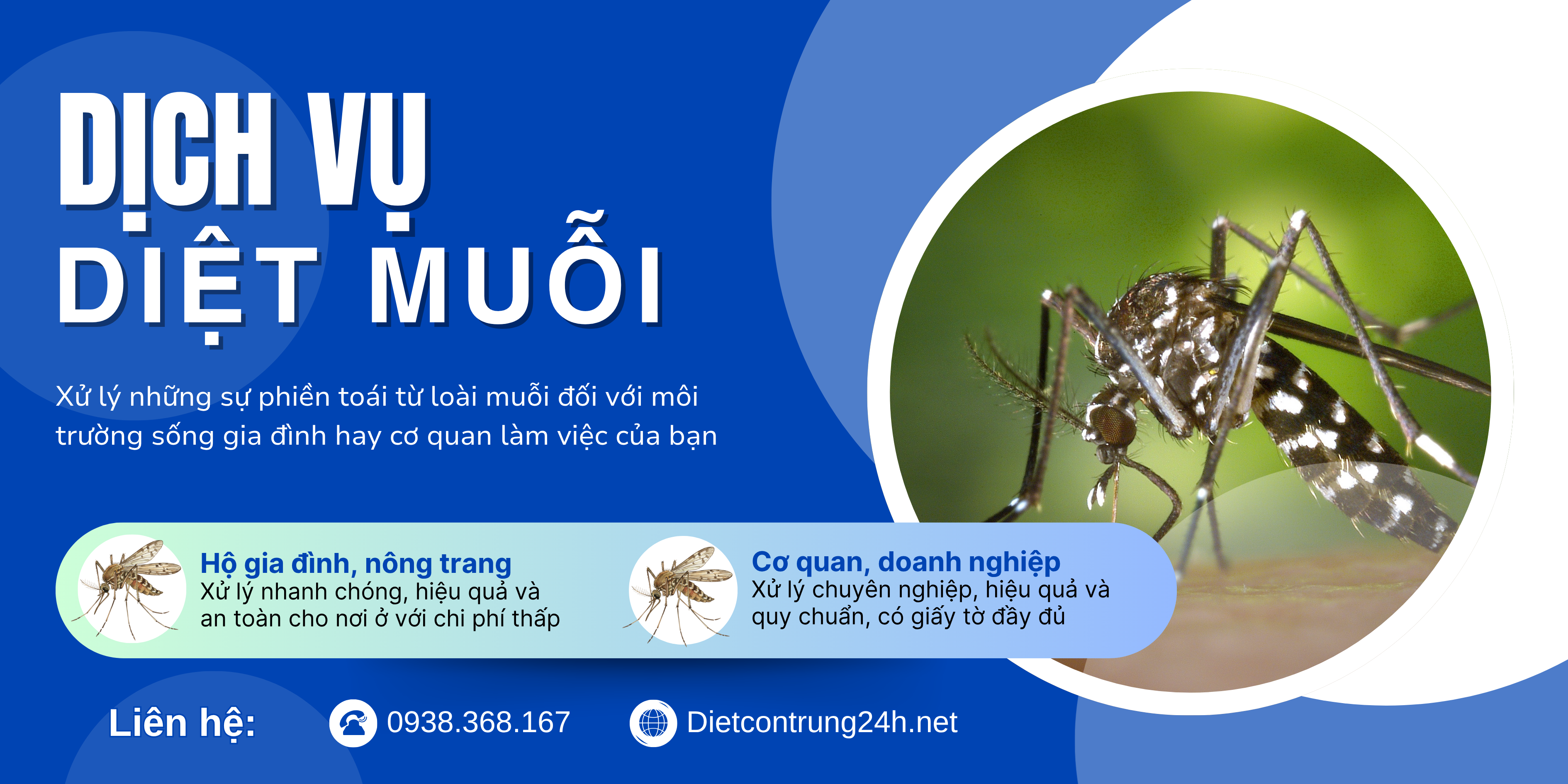 Dịch vụ Diệt Muỗi